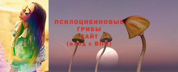 гидропоника Богданович