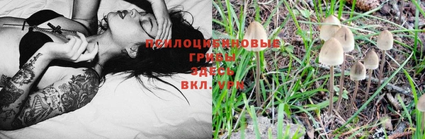 мяу мяу кристалл Богородицк