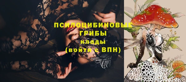 гидропоника Богданович