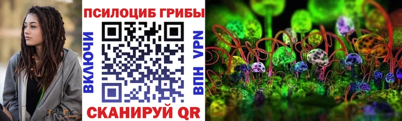 Галлюциногенные грибы Psilocybe  Новодвинск 